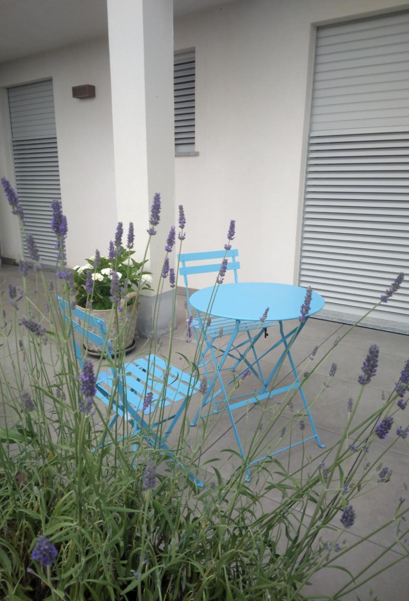 알바 Cicci House 아파트 외부 사진